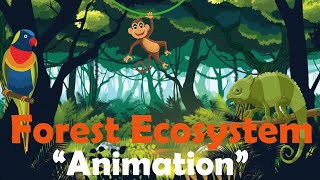 FOREST ECOSYSTEM  Biology Animation [upl. by Lagasse]