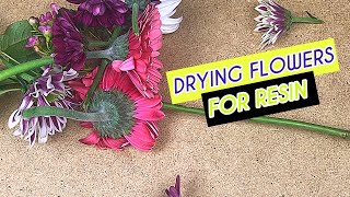 HOW TO DRY YOUR OWN FLOWERS FOR RESIN PROJECTS [upl. by Noel20]