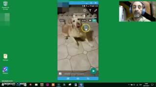 Hacer un Gif con Whatsapp  Paso a paso [upl. by Aicatsal]