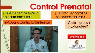 CONTROL DEL EMBARAZO ¿SABES QUÉ EVALUAR ¡8 consultas CONTROL PRENATAL [upl. by Leirol]