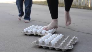 10 Egg Science Experiments for Kids [upl. by Ardna]