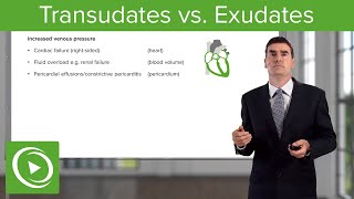 Transudates vs Exudates – Pleural Disease  Lecturio [upl. by Yblocaj]