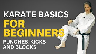 Karate Basics for Beginners Followalong Lesson [upl. by Blinny]