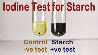 Iodine Test For Starch Practical Experiment [upl. by Dnomsed]