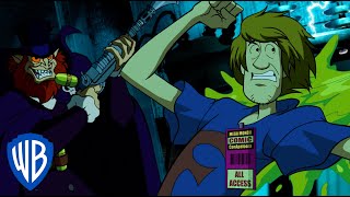 ScoobyDoo  Scooby and Shaggy Discover a Clue  WB Kids [upl. by Sharia591]