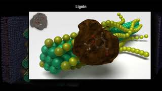 How Decomposition Works Part 1 [upl. by Llednor987]