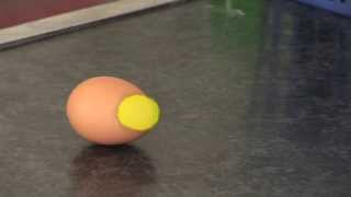 Egg Experiment to Demonstrate Inertia [upl. by Rausch]