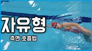 기초 수영에서 꼭 배워야 할 유형 quot자유형 측면호흡quot [upl. by Akinert]