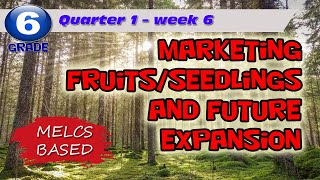 Marketing FruitsSeedlings and Future Expansion  Grade 6  Week 6 [upl. by Emmalynn331]