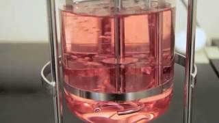 The Impact of Sparging on Cell Culture in Bioreactors – Two Minute Tuesday Video [upl. by Benson]