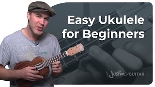 How to Play the Ukulele 4 Easy Chords amp Many Songs [upl. by Bish65]