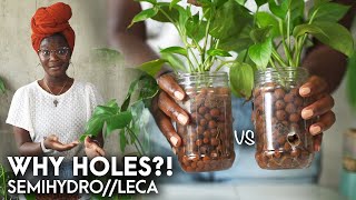 Why I prefer drain holes for my plants in LECA  tips on drilling  semihydroponics [upl. by Lukash809]