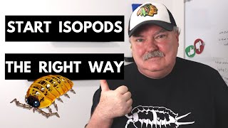 Isopods  3 Things You Need To Know Before Beginning [upl. by Einor]