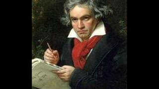 Beethoven 5th Symphony 3rd movement Allegro [upl. by Asillem]