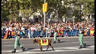 DESFILE FIESTA NACIONAL ESPAÑA  LA LEGION Y REGULARES [upl. by Farika]