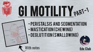 GI Motility Part  1  Chewing Reflex  Deglutition  Gastrointestinal Physiology [upl. by Mordy741]