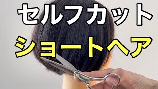 セルフカットでショートヘアをヘアカットするやり方（ショートレイヤー） [upl. by Giguere]