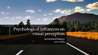 Psychological Influences On Visual Perception [upl. by Katzman]