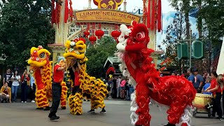 Dragon Dance  Disneyland Lunar New Year 2020 [upl. by Galven20]