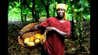 Fairtrade chocolate video [upl. by Anaerb139]