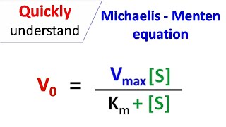 Michaelis Menten equation [upl. by Egwan221]