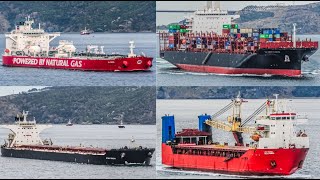 Ship Spotting Istanbul Strait  2024 Part 3 [upl. by Einnim]