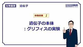 【生物基礎】 遺伝子1 グリフィスの実験 （１６分） [upl. by Nimad]