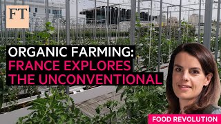 French organic farming explores the unconventional  FT Food Revolution [upl. by Alletniuq507]