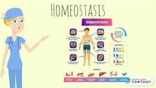 HOMEOSTASIS Y SISTEMAS DE REGULACIÓN [upl. by Ertsevlis]