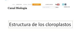 Estructura de los cloroplastos [upl. by Uyerta]