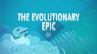 The Evolutionary Epic Crash Course Big History 5 [upl. by Yelnahs773]