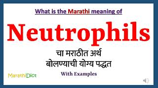 Neutrophils Meaning in Marathi  Neutrophils म्हणजे काय  Neutrophils in Marathi Dictionary [upl. by Htiduj]