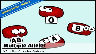 Multiple Alleles ABO Blood Types and Punnett Squares [upl. by Laamak587]