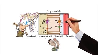 Pharmacology  DIURETICS MADE EASY [upl. by Isahella]