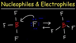 Nucleophiles and Electrophiles [upl. by Igor]