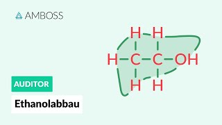 Der Ethanolabbau  AMBOSS Auditor [upl. by Olegnalehcim506]