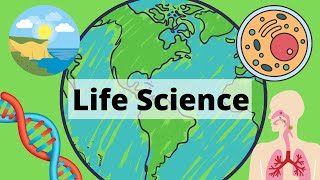 A Year of Life Science in 3 Minutes [upl. by Xonnel]