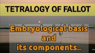 TETRALOGY OF FALLOT [upl. by Fronia]