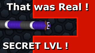 Slitherio  SECRET LVL UNLOCKED amp FINISHED [upl. by Acinoreb]