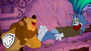 Tom amp Jerry  Back to Oz King Of The Forest [upl. by Haimorej]