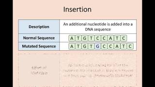 Higher Biology  16 Mutations [upl. by Iohk]