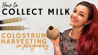 Hand Expression In Pregnancy  How To Collect Colostrum [upl. by Elpmet]