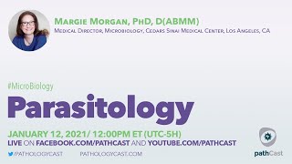 Parasitology  Dr Morgan Cedars Sinai MICROBIOLOGY [upl. by Amye]