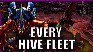 Every Single Tyranid Hive Fleet EXPLAINED By An Australian  Warhammer 40k Lore [upl. by Pelagi]