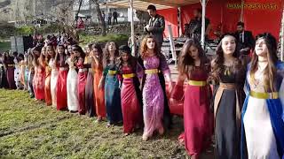 Kurdish Dance  Baile kurdo [upl. by Enelrahc]