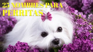 25 bonitos nombres para PERRITAS [upl. by Ijneb787]