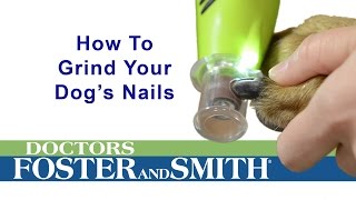 How to Grind Your Dogs Nails DrsFosterSmith [upl. by Quince]