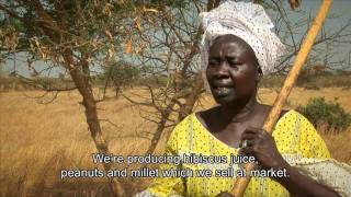 Turning the tide on desertification in Africa 7min43sec version [upl. by Hyacinthia425]