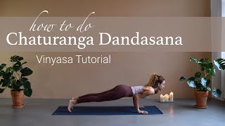 Vinyasa Chaturanga Dandasana for Beginners  Four Limbed Staff Yoga Pose [upl. by Jakob]