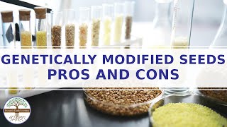 Genetically Modified Seeds Pros and Cons ELearning Video [upl. by Eisej666]